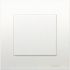 1G BLANK PLATE, WE
